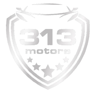 313 Motors